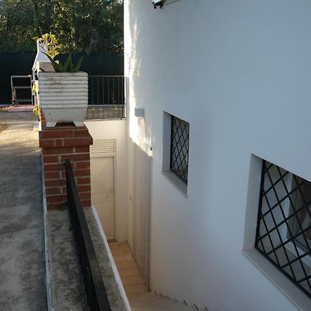 Olive&Sea Villa-Sea Mattinata Kültér fotó