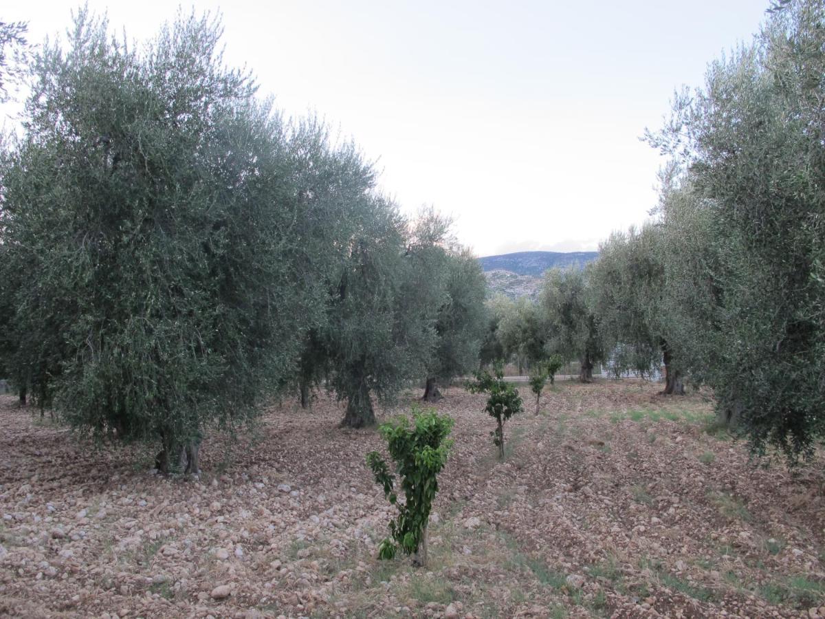 Olive&Sea Villa-Sea Mattinata Kültér fotó