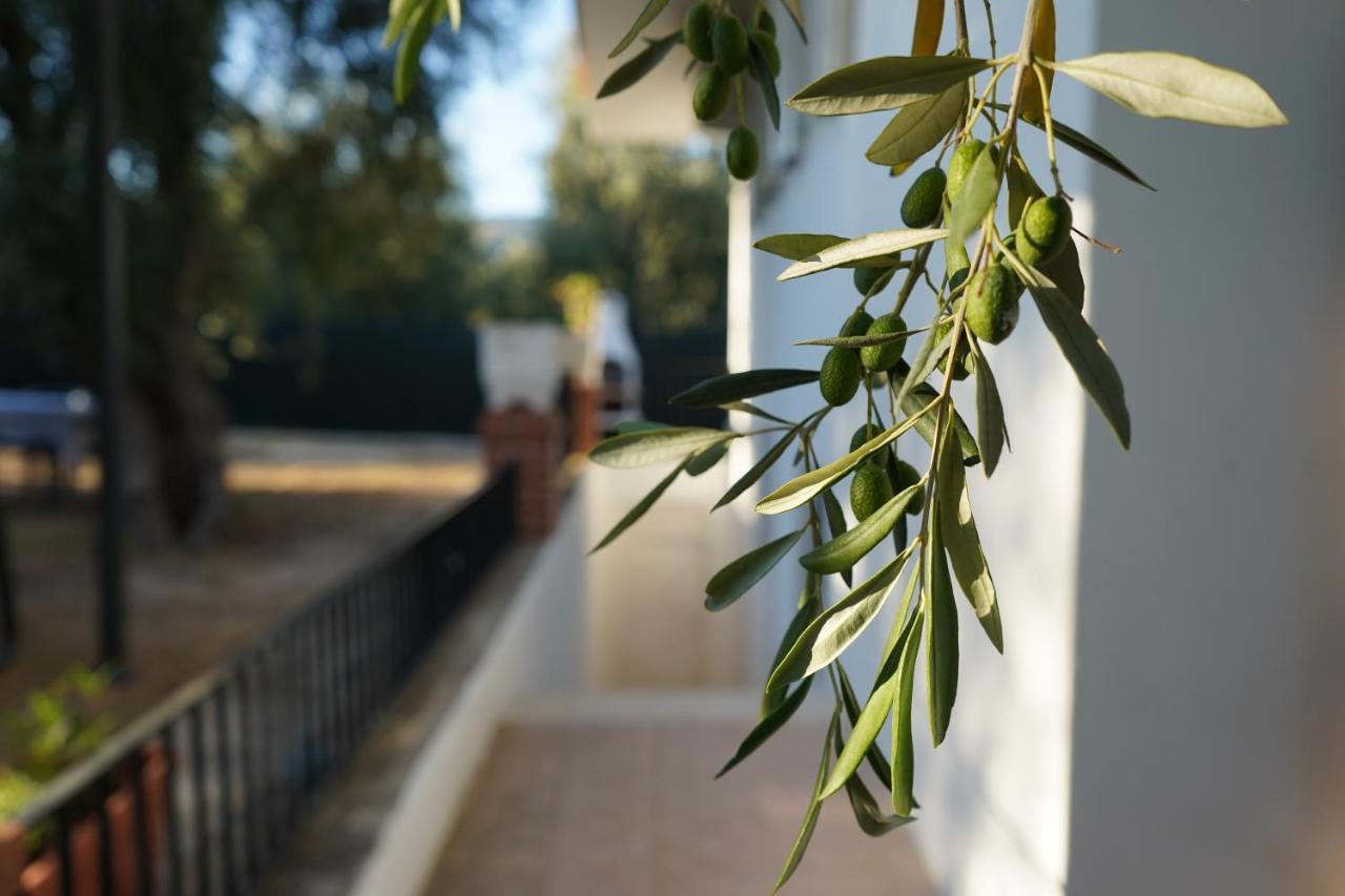 Olive&Sea Villa-Sea Mattinata Kültér fotó