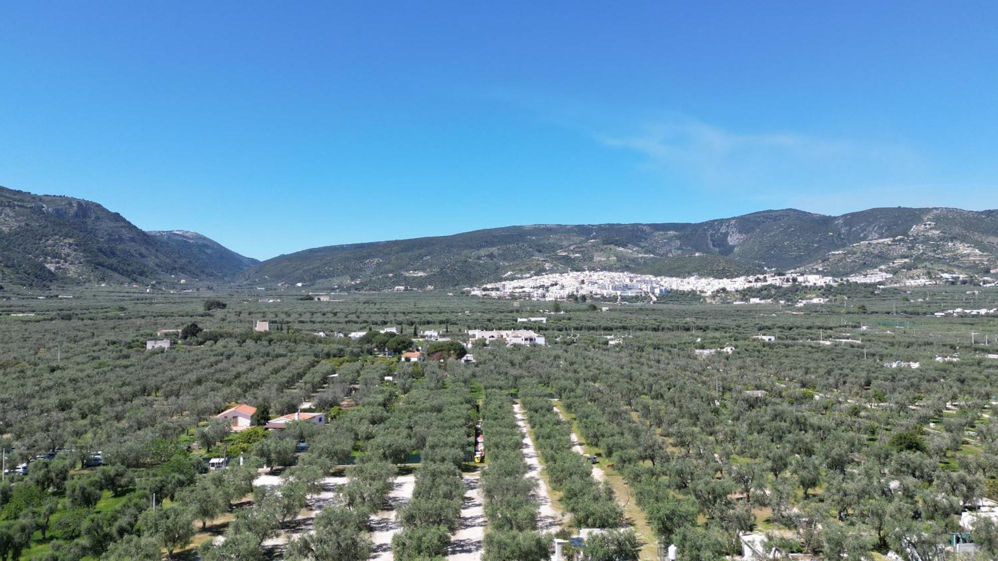 Olive&Sea Villa-Sea Mattinata Kültér fotó
